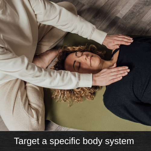 Physical Body Systems